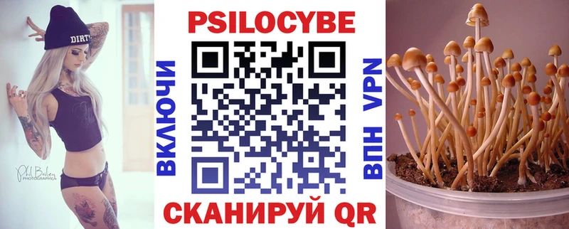 Галлюциногенные грибы Psilocybe  магазин продажи наркотиков  Давлеканово 